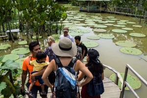 Best tours in and around Iquitos, Peru