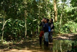 Iquitos: Amazon Day Tour with Wildlife