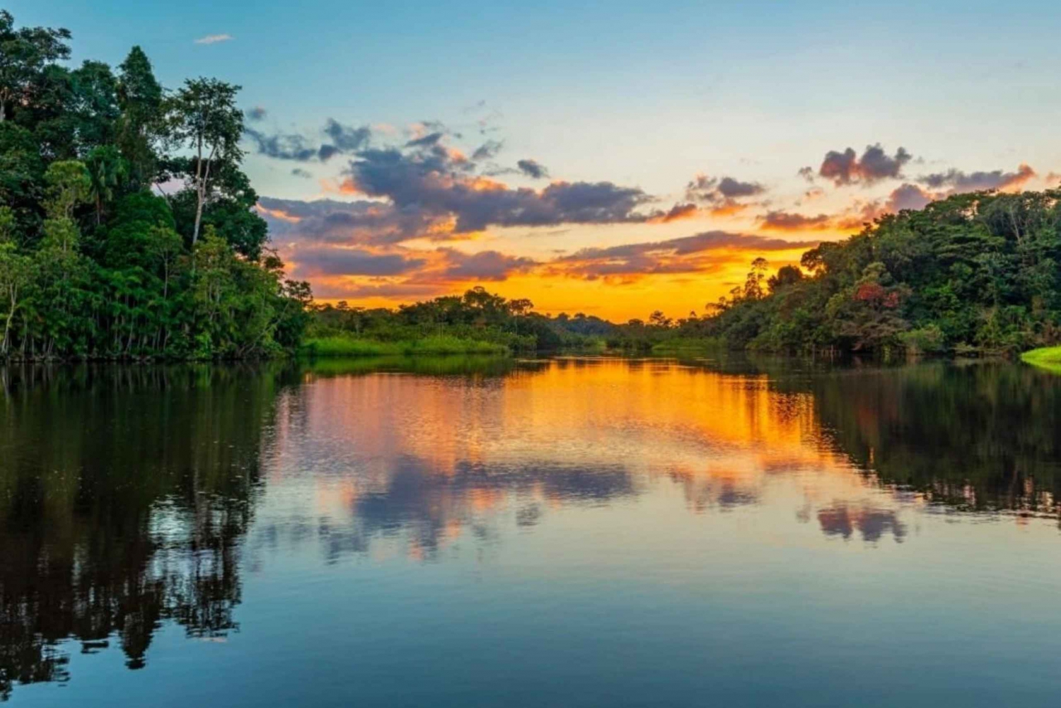 Iquitos: Amazonas djungel på 2 dagar: Äventyr och expedition