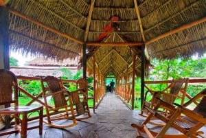 Iquitos: Amazonas djungel på 3 dagar: Äventyr och kultur