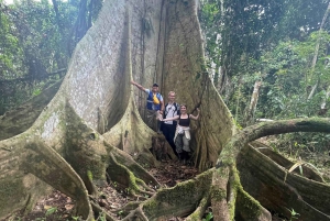 Iquitos: Amazon Jungle Lodge & Adventure 2 Days /1 Nigth