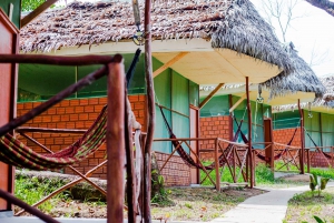 Iquitos: Amazon Jungle Lodge & Adventure 3 Days / 2 Nigth