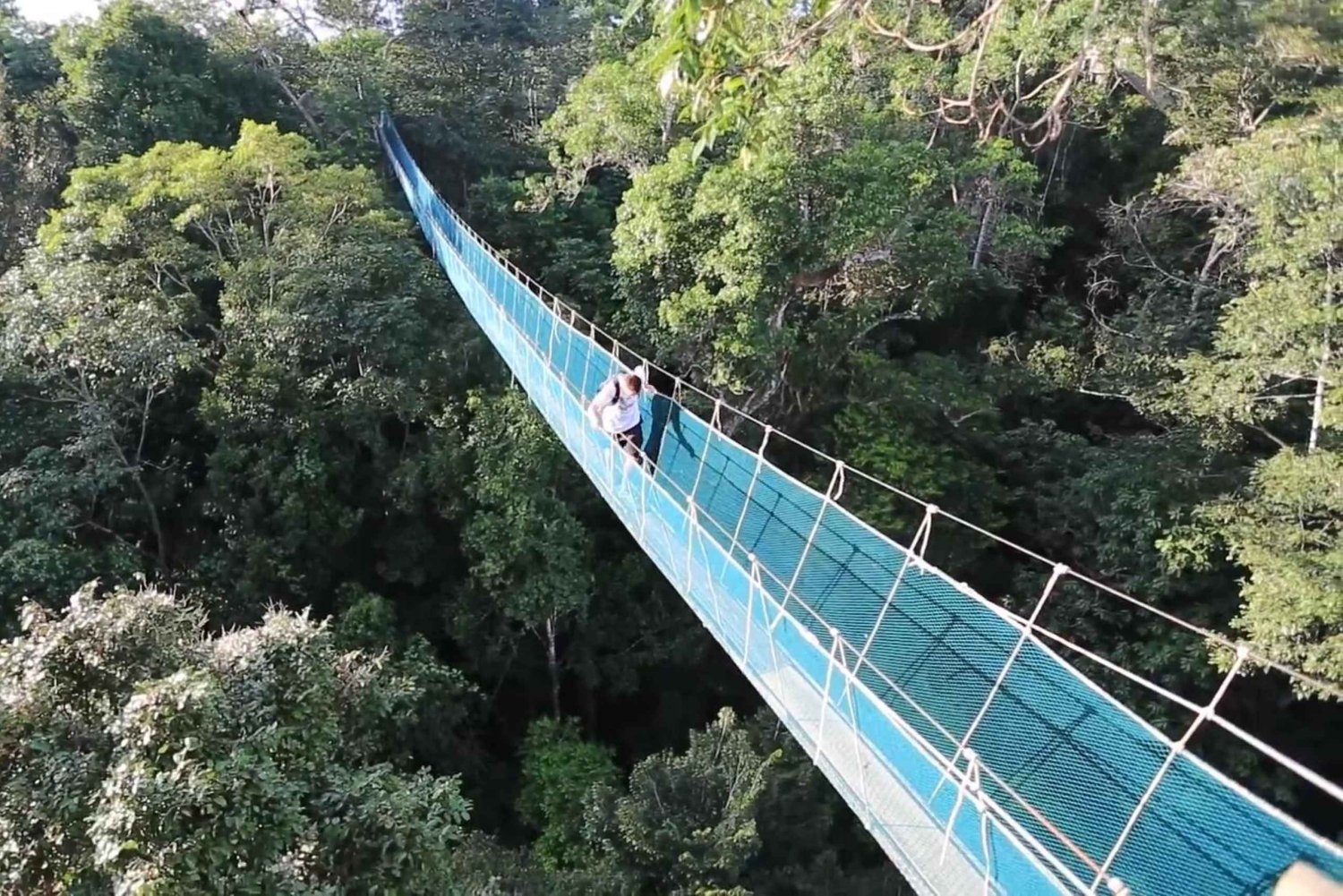 Iquitos: Amazonasjungeltur med lunsj og canopy-hopp