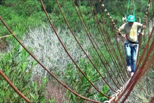 Iquitos: Amazonas djungeltur med lunch och Canopy Jump
