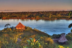 Iquitos: Amazonas djungeltur med lunch och Canopy Jump