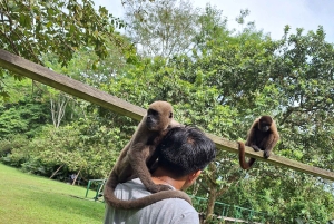 Iquitos: Amazonas-Lodge und Dschungelerlebnis | 2 Tage