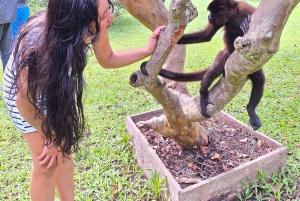 Iquitos: Amazonas-Lodge und Dschungelerlebnis | 2 Tage