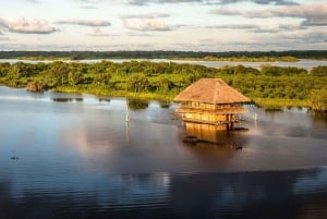 Iquitos: Amazon River and Rainforest Adventure Tour