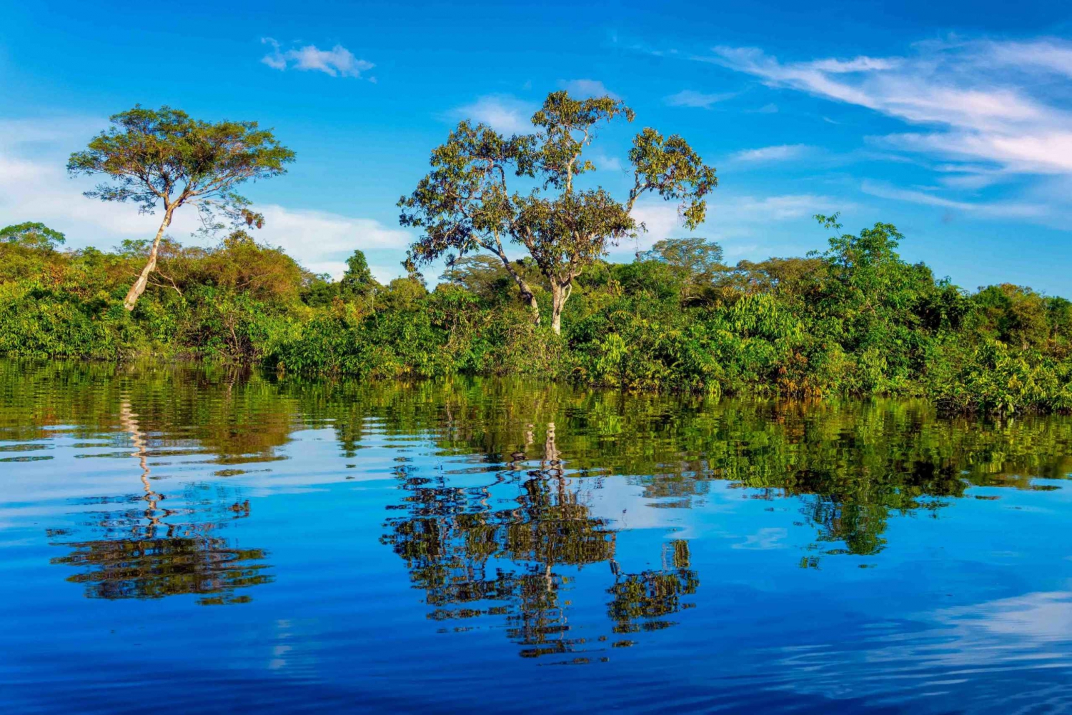 Ab Iquitos: Geführte Amazonas-Tagestour