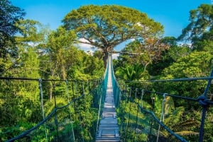 Iquitos | Amazon Tour | 4D/3N in Amazon Rainforest Jungle