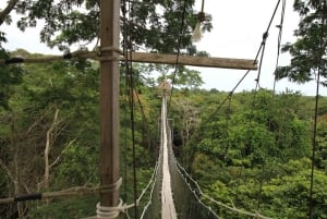 Iquitos: Amazon Zipline Adventure og hængebro