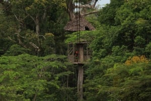 Iquitos: Amazon Zipline Adventure og hængebro
