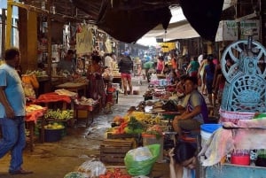 Iquitos: Belen-markedet og omvisning i flytende hus