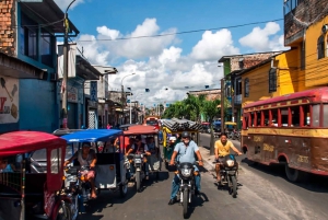 Iquitos: Belen Market and Venice Loretana Guided Tour