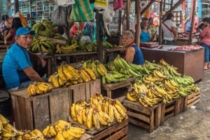 Iquitos: Belen Market og Venezia Loretana guidet tur