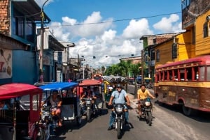 Iquitos : Visite guidée du marché de Belen et de Venise Loretana