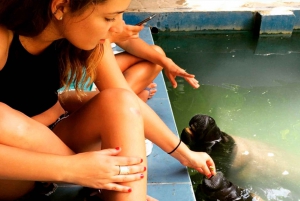 Best tours in and around Iquitos, Peru