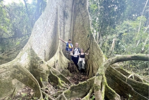 Iquitos: Day Tour Amazon River