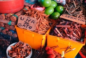 Iquitos: tour por el pueblo flotante y el mercado de Belén
