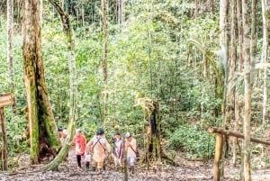 Best tours in and around Iquitos, Peru