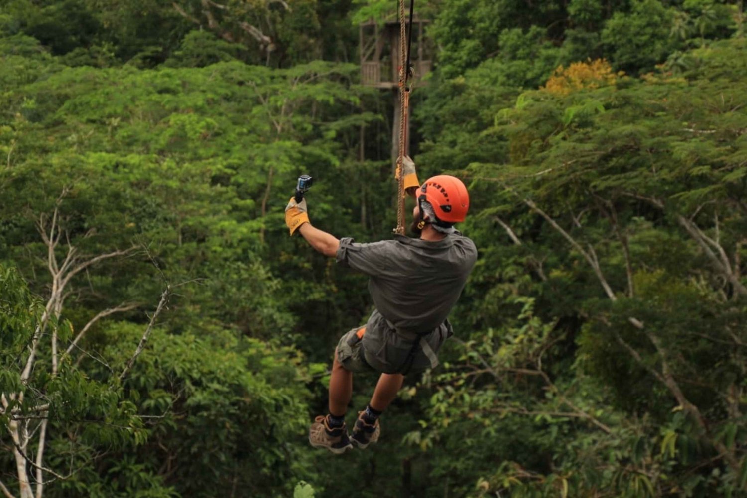 Iquitos: Full day | Canopy (Zip Line) and Hanging Bridges