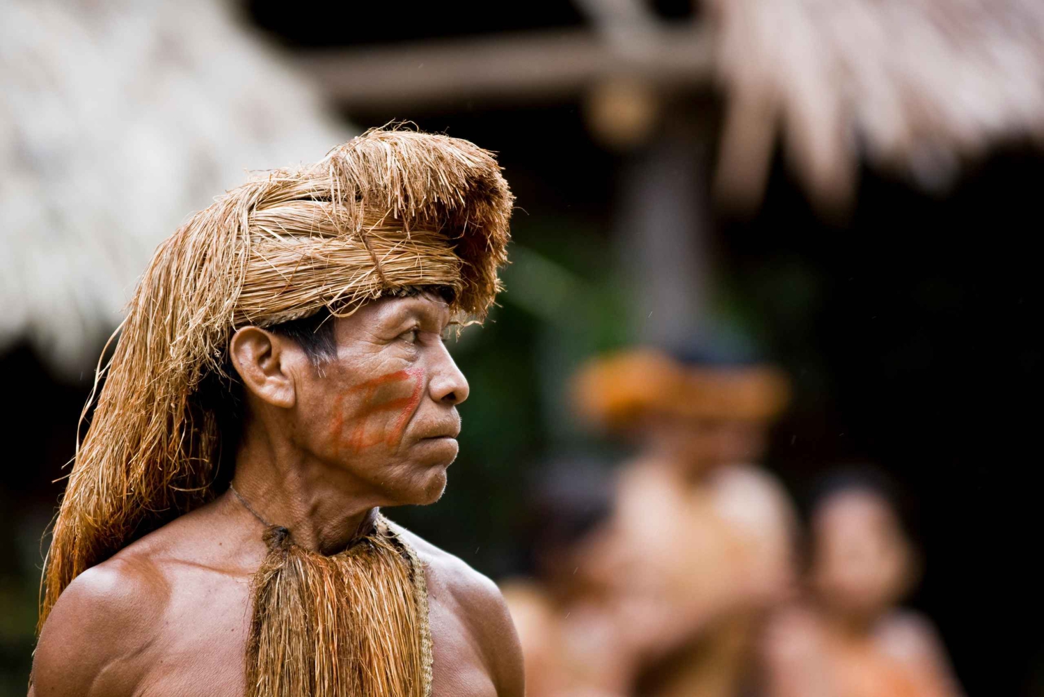 Iquitos: Heldagstur i junglen | Amazon Safari