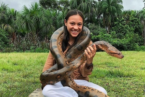 Iquitos: Heldagstur i junglen | Amazon Safari