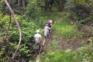 Iquitos: Amazon Day Tour with Wildlife
