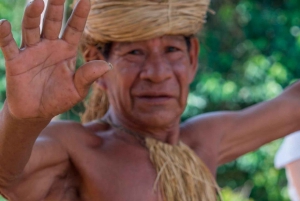 Iquitos: Guided Boat Tour of Amazon River & Native Community