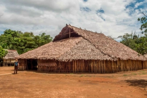 Iquitos: Guidet båttur i Amazon River & Native Community