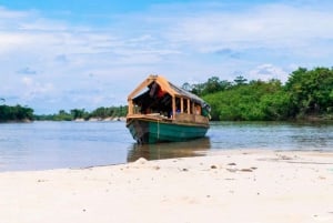 Iquitos: passeio de barco com guia pelo rio Amazonas e comunidade nativa