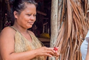 Iquitos: visite guidée en bateau du fleuve Amazone et de la communauté autochtone