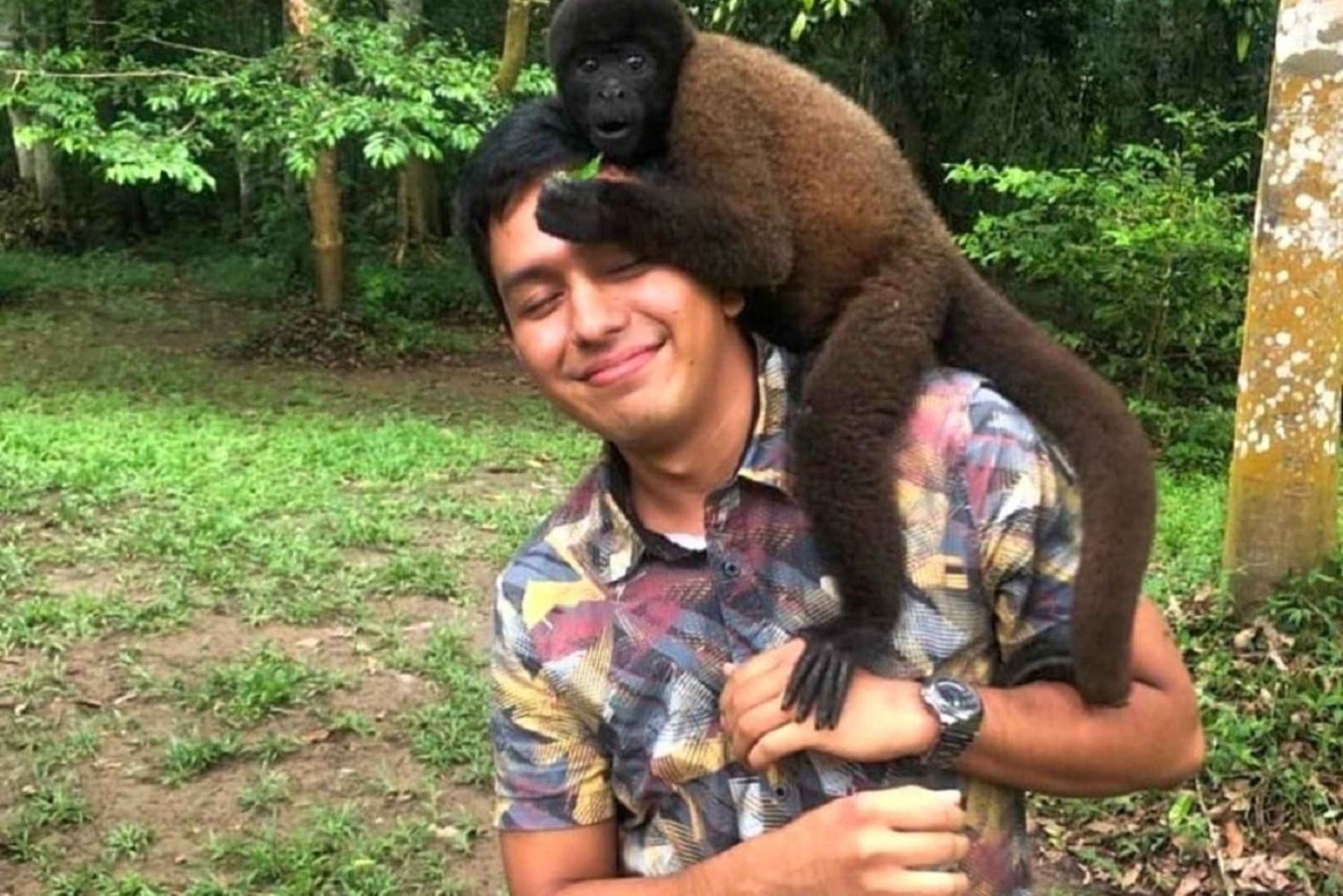 Iquitos : île aux singes, canopée et nature amazonienne - visite à la journée