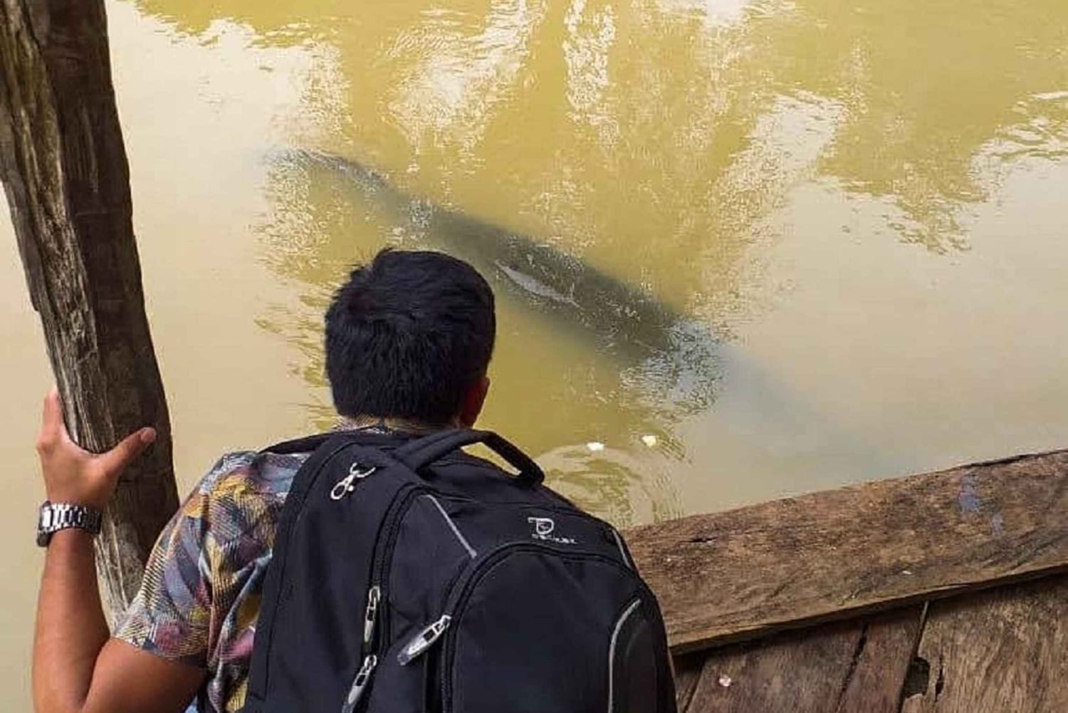 Iquitos: Isola delle scimmie, Canopy e natura amazzonica - Tour di 1 giorno