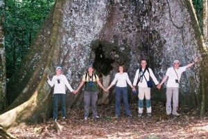 Iquitos: PACAYA- SAMIRIA 3 DAGE/2 NÆTTER