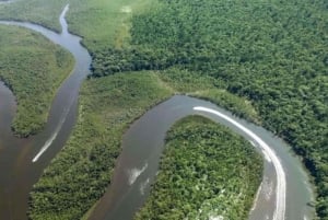 Iquitos: PACAYA- SAMIRIA 3 DAGE/2 NÆTTER