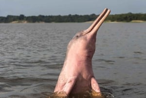 Iquitos : visite du parc national de Quistococha et de Tarapacá