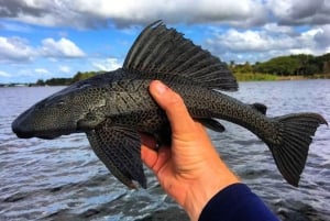 Iquitos : visite du parc national de Quistococha et de Tarapacá