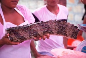 Iquitos: Belénin eksoottisilla markkinoilla + Venetsia Loretana