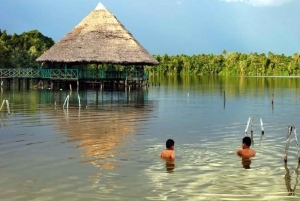 Iquitos: White Sand National Park Guided Tour with Lunch