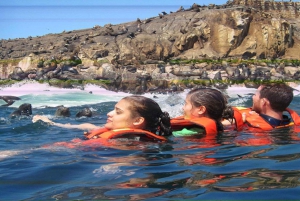 Islas Palomino - Uiminen merileijonien kanssa