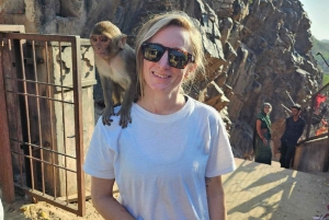 Джайпур: частная однодневная экскурсия на автомобиле с гидом