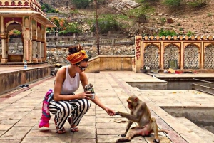 ジャイプル：エアコン付きの車で行くガイド付きロイヤルジェム1日プライベートツアー