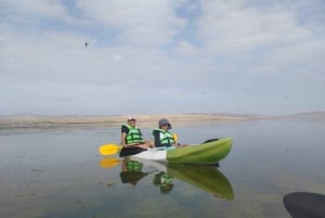 Aventura en Kayak por la Bahía de Paracas