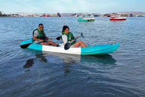 Kayaking Adventure in Paracas Bay