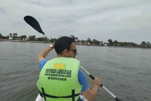 Kayaking Adventure in Paracas Bay