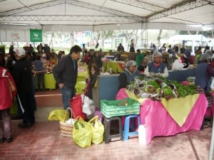 La Molina Healthy Market
