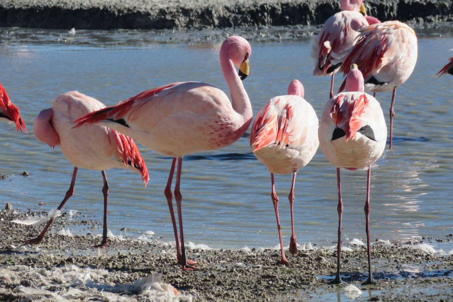 La Paz: Tour privado de 6 días por lo mejor de Bolivia con vuelos