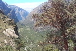 Laguna Rocutuyoc and Honkopampa Ruins Private Service