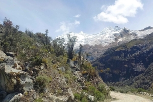 Laguna Rocutuyoc and Honkopampa Ruins Private Service